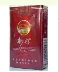 看窗外烟花的猫图片大全