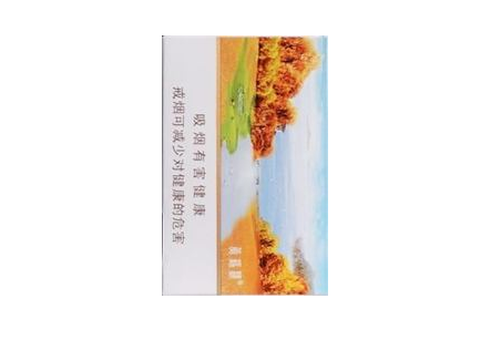 进口香烟云丝顿